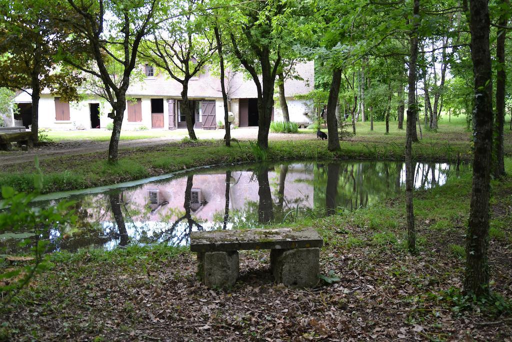 Gite De La Ronceraie Chaumont-sur-Loire Bagian luar foto