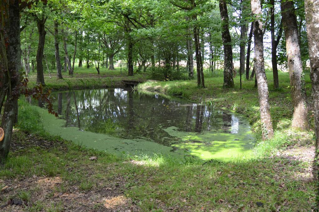 Gite De La Ronceraie Chaumont-sur-Loire Bagian luar foto